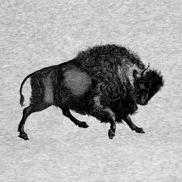 What is life? Cows run away from the storm while the buffalo charges toward it - and gets through it quicker. by mpdesign